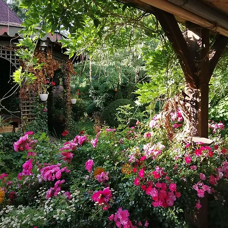 Le Frene Fringant Sainte-Opportune-la-Mare